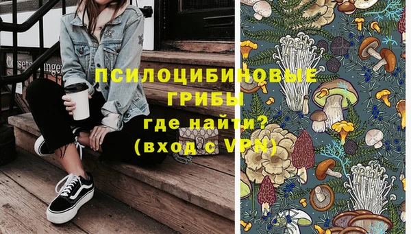 стаф Абдулино