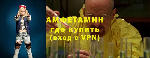 крисы Абаза