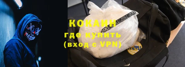 крисы Абаза