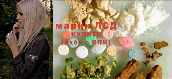 крисы Абаза