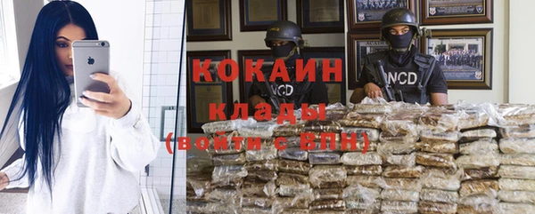 крисы Абаза