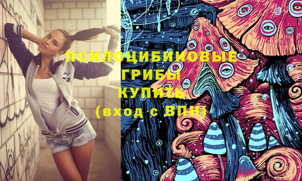 стаф Абдулино