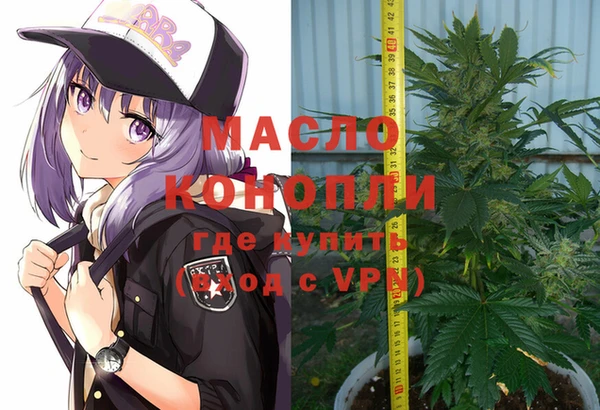 дживик Абинск