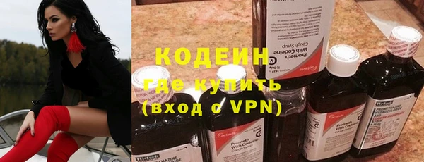 крисы Абаза