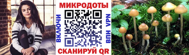 OMG ТОР  Ковылкино  Псилоцибиновые грибы Psilocybe  где продают наркотики 